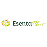 Esenta Plant